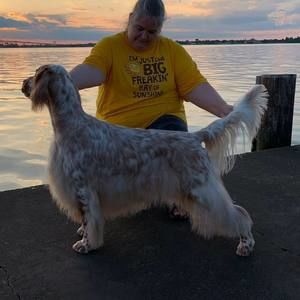 Meet your Posher, Amandia